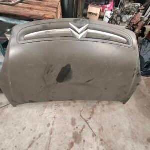 capo Xsara Picasso 2005