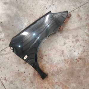 paralama D scenic 2001/2010